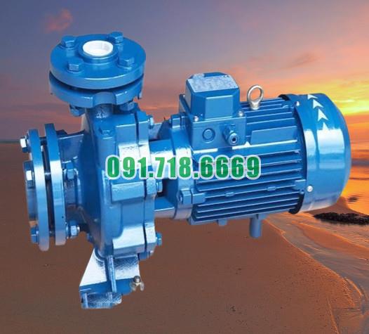 Máy bơm nước li tâm trục ngang CM32-250C công suất 11 kw