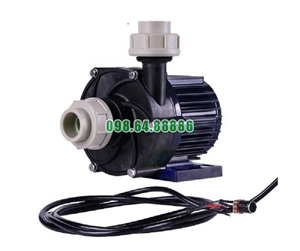 Bơm ly tâm điện áp 24v và 48v TDM-200PERU-DC24 đẩy cao 1.7m